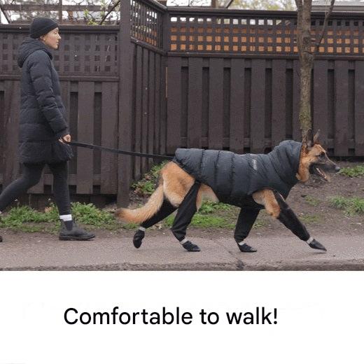 Boots for Safe Outdoor Adventures - PawShield-S-The Livary