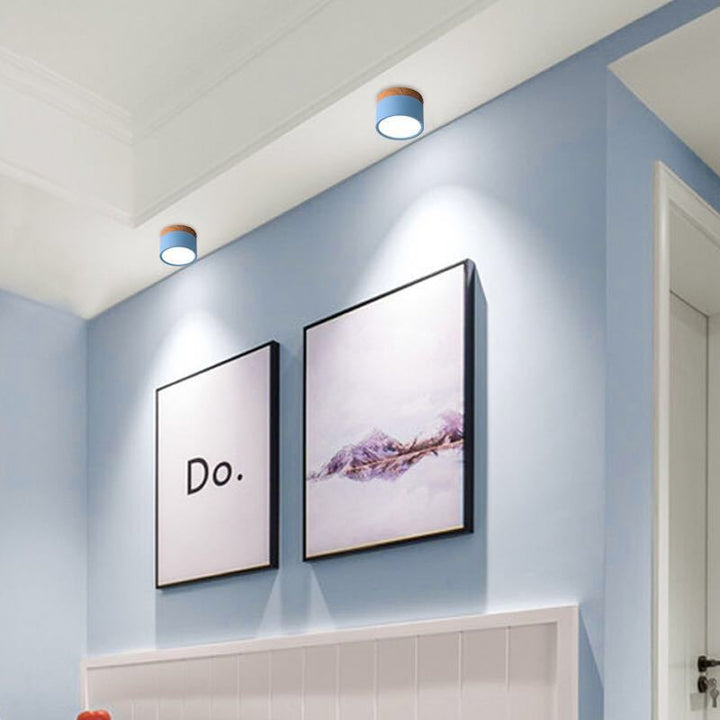 Morandi Style Modern LED Ceiling Lamp - LumiModo-Blue-5W-Warm white-The Livary