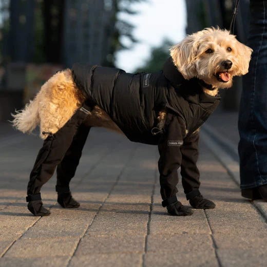Boots for Safe Outdoor Adventures - PawShield-S-The Livary