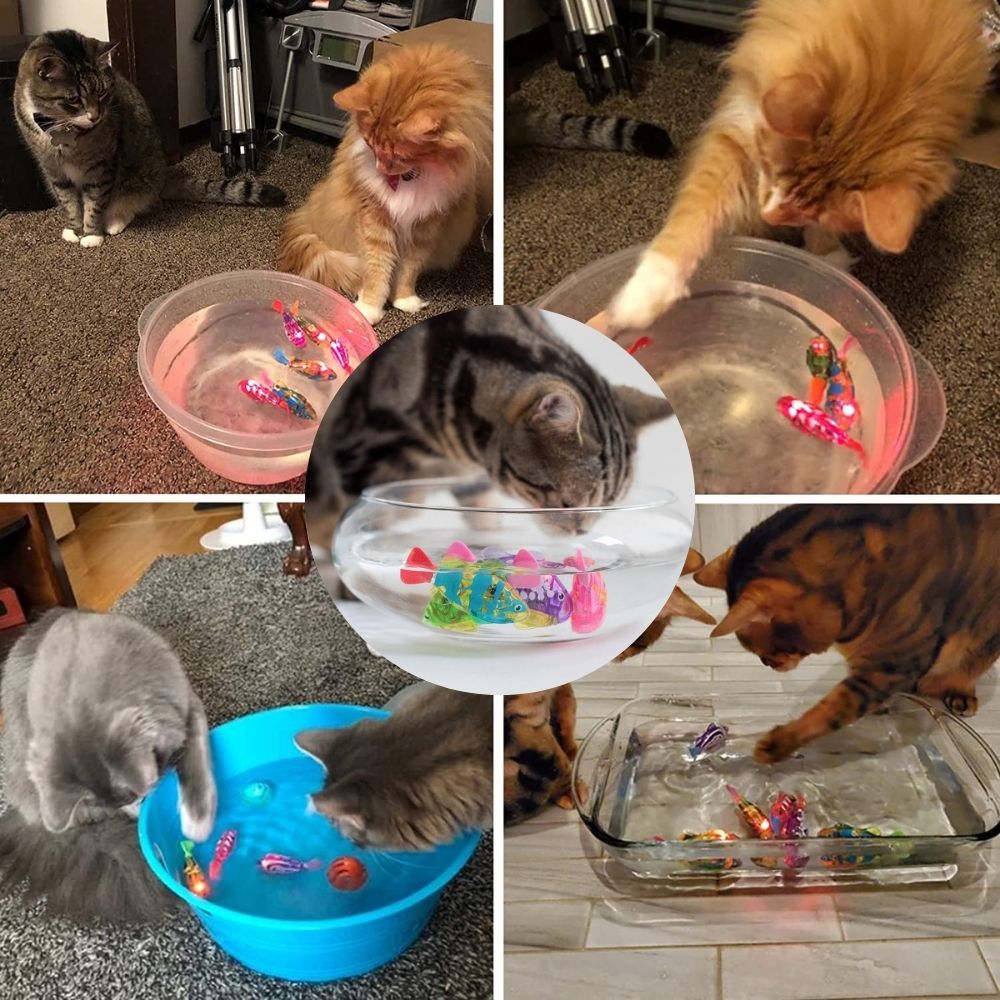 Playset for Cats - AquaPurr-3 Fish Toys (67% DISCOUNT)-The Livary