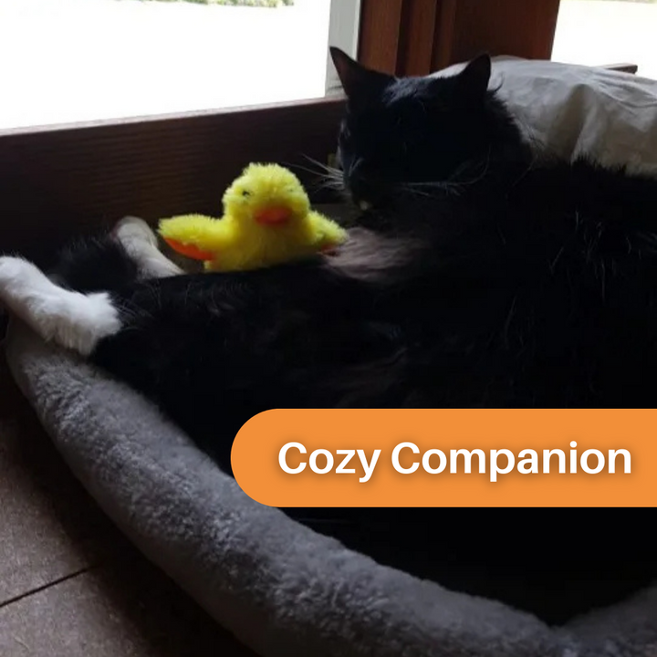 Flapping Duck Toy for Cats - DuckDash™ (1+1 FREE)-The Livary