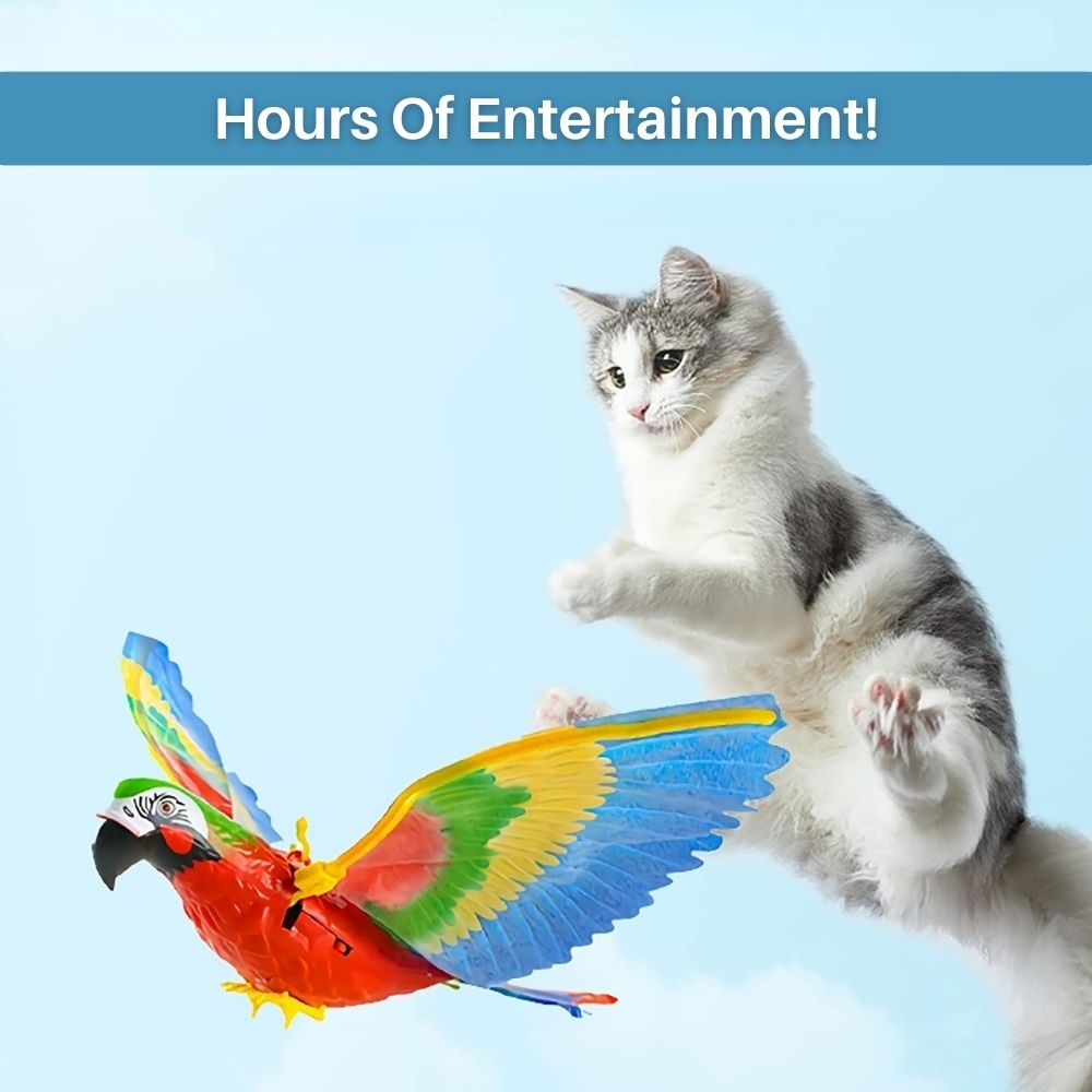 Interactive Cat Toy for Fun and Exercise - FeatherFlight™-Parrot-The Livary