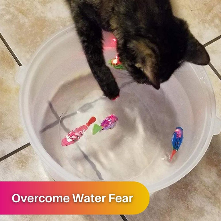 Playset for Cats - AquaPurr-3 Fish Toys (67% DISCOUNT)-The Livary
