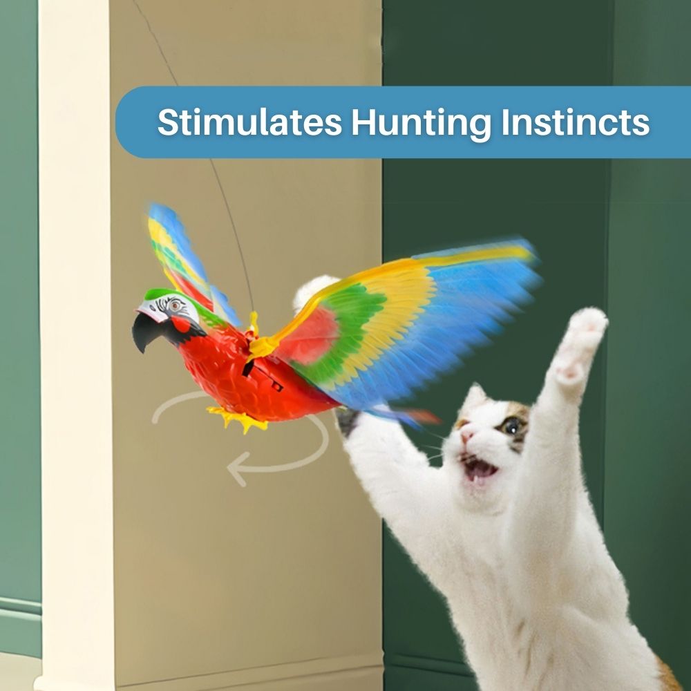 Interactive Cat Toy for Fun and Exercise - FeatherFlight™-Parrot-The Livary