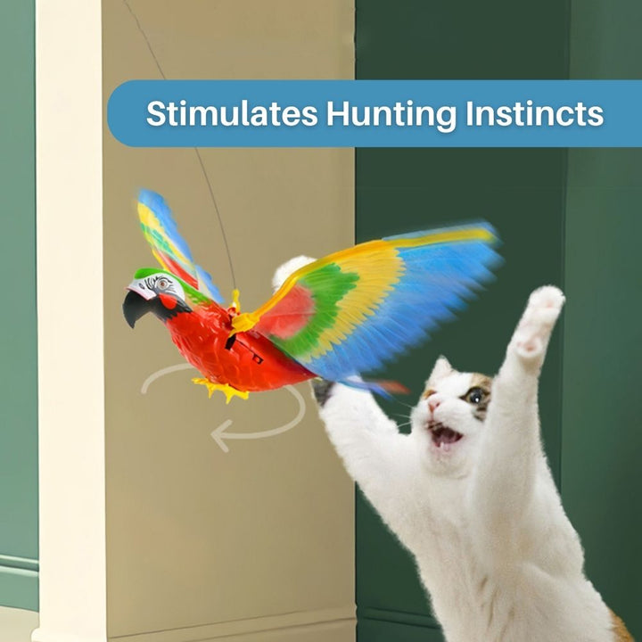Interactive Cat Toy for Fun and Exercise - FeatherFlight™-Parrot-The Livary