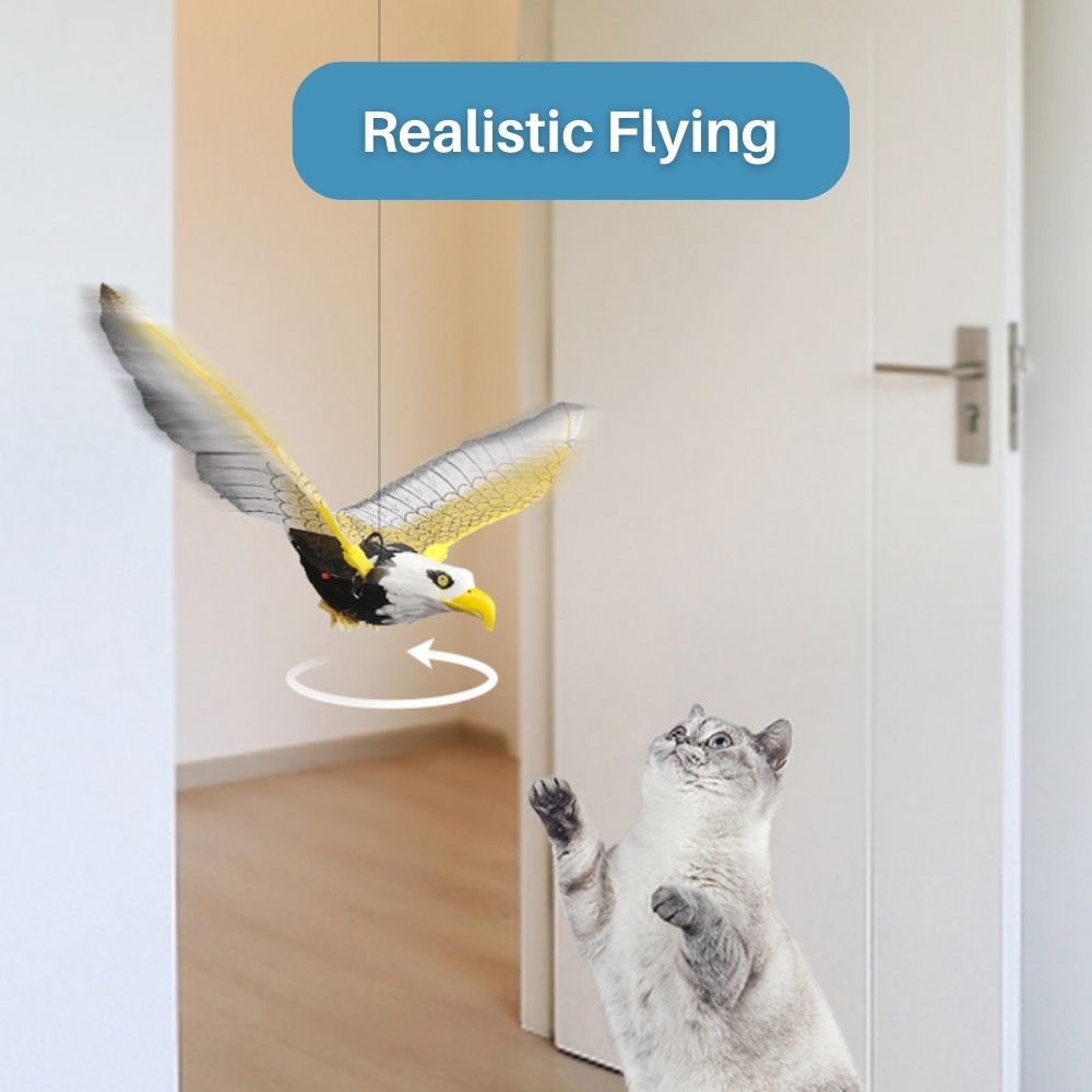 Interactive Cat Toy for Fun and Exercise - FeatherFlight™-Parrot-The Livary