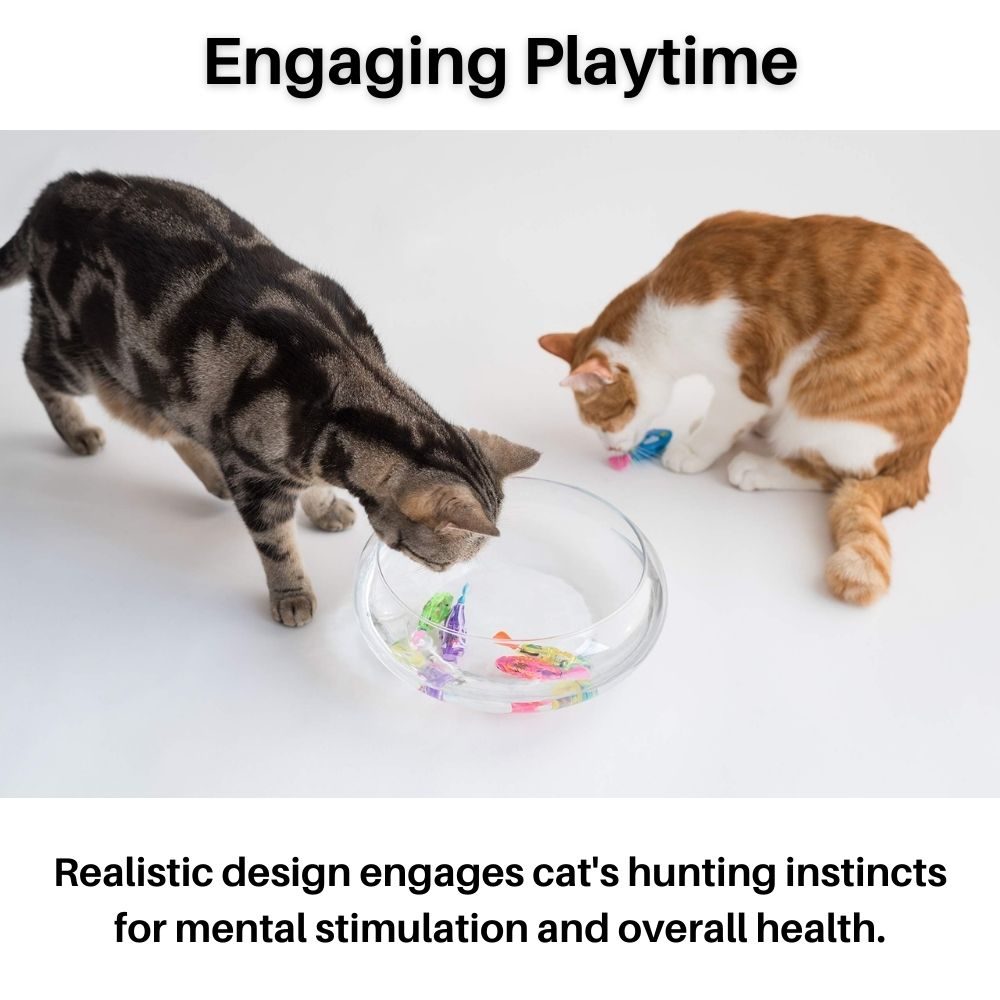 Playset for Cats - AquaPurr-3 Fish Toys (67% DISCOUNT)-The Livary