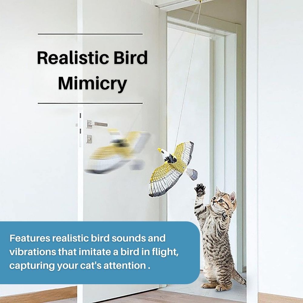 Interactive Cat Toy for Fun and Exercise - FeatherFlight™-Parrot-The Livary