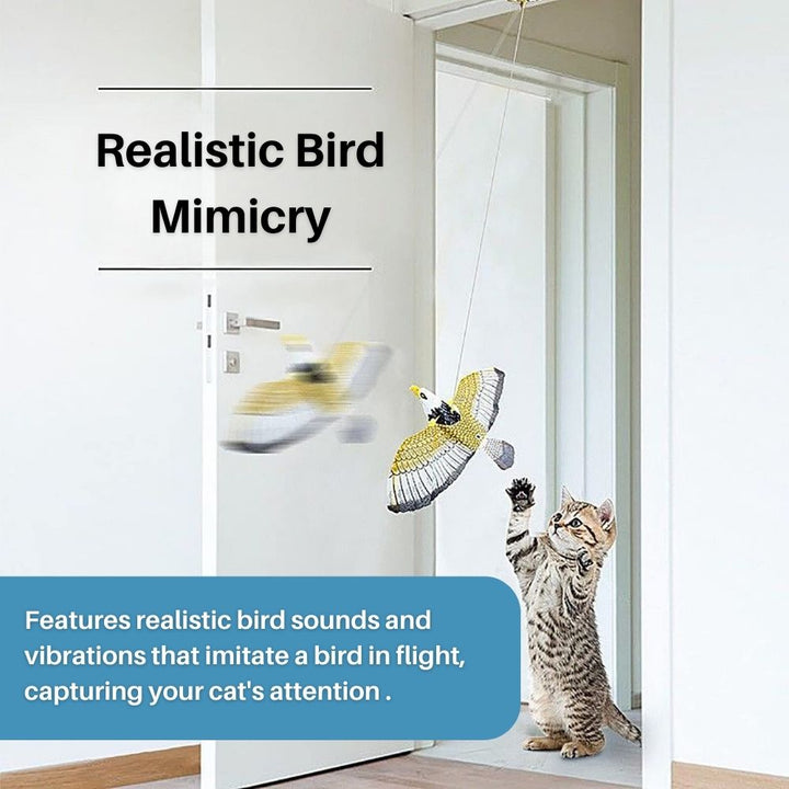 Interactive Cat Toy for Fun and Exercise - FeatherFlight™-Parrot-The Livary