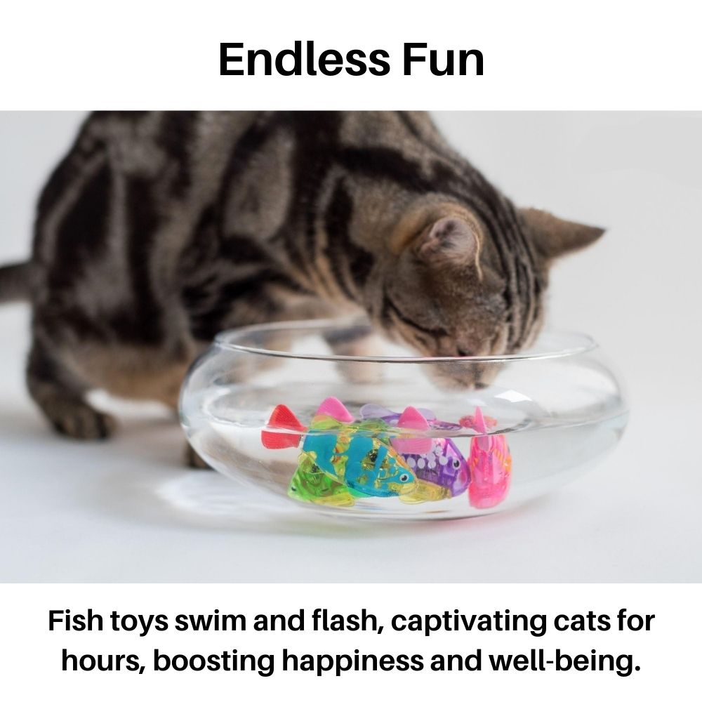 Playset for Cats - AquaPurr-3 Fish Toys (67% DISCOUNT)-The Livary