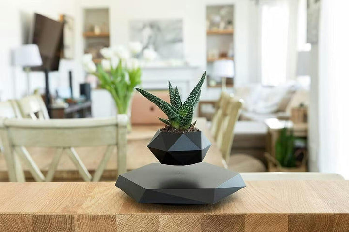 Floating Plant Holder with Magnetic Levitation - Liva-Walnut Base-The Livary