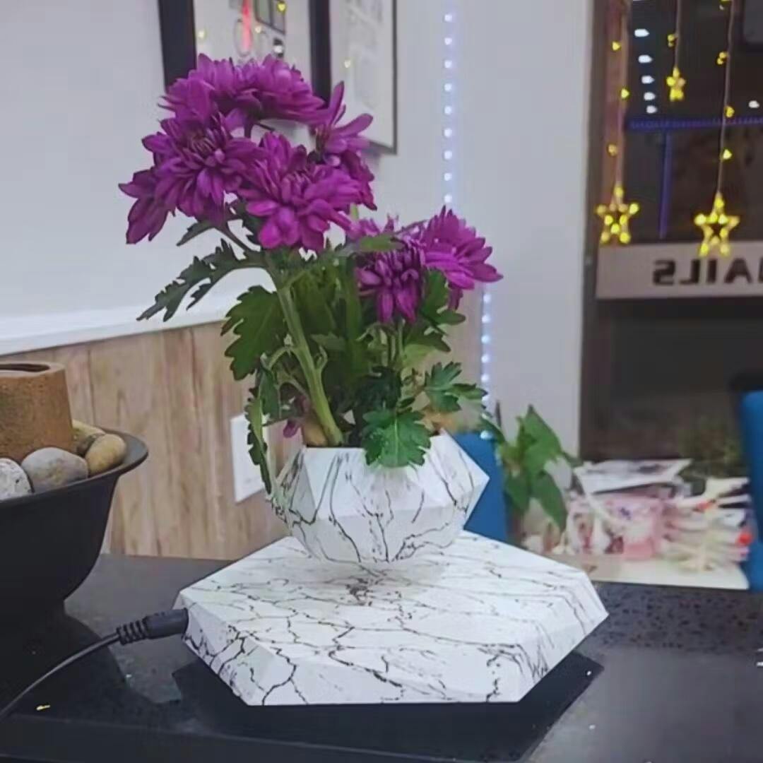 Floating Plant Holder with Magnetic Levitation - Liva-Walnut Base-The Livary