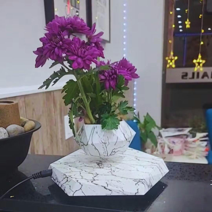 Floating Plant Holder with Magnetic Levitation - Liva-Walnut Base-The Livary