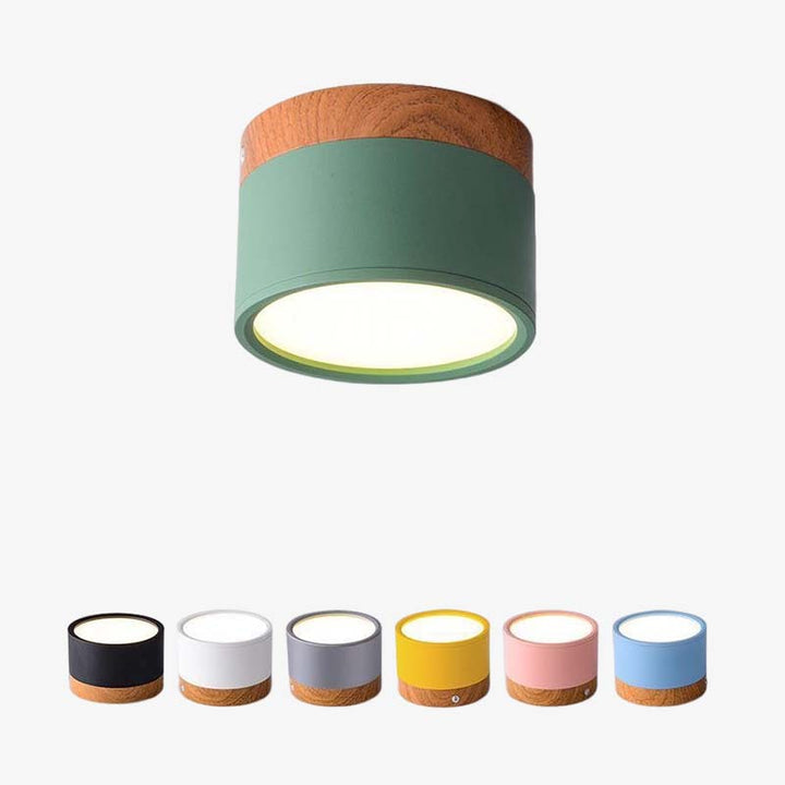 Morandi Style Modern LED Ceiling Lamp - LumiModo-Blue-5W-Warm white-The Livary
