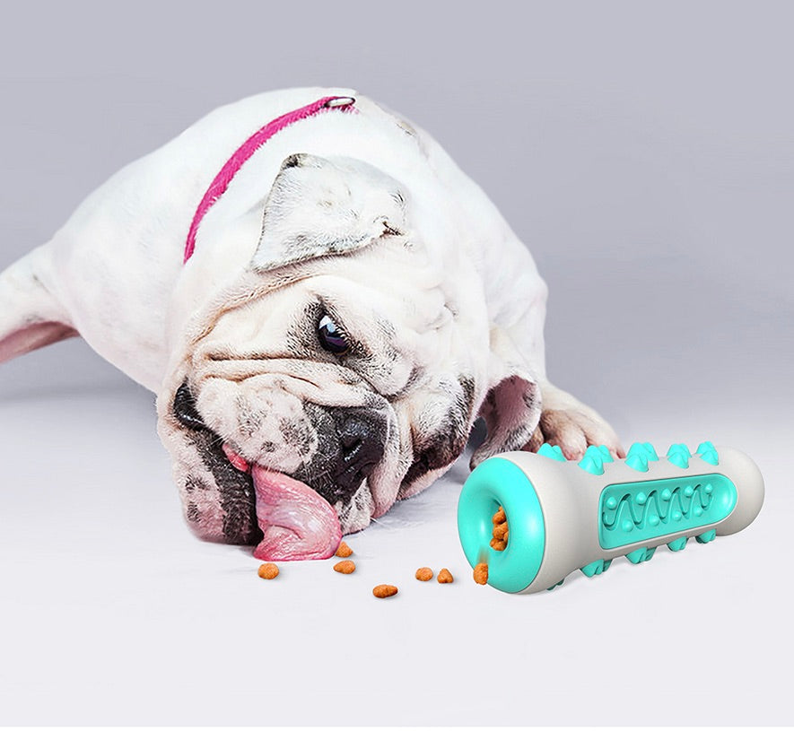 Dental Cleaning Chew Toy for Dogs – Chewly-Blue-The Livary