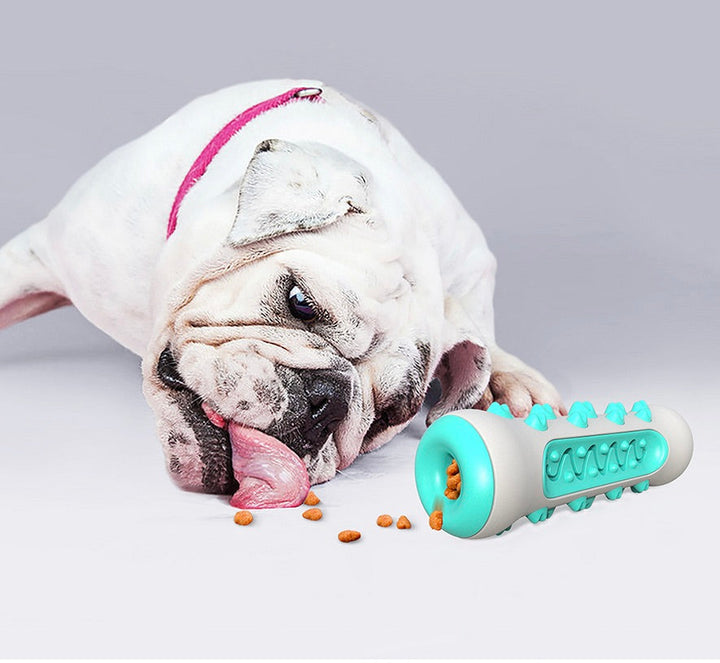 Dental Cleaning Chew Toy for Dogs – Chewly-Blue-The Livary