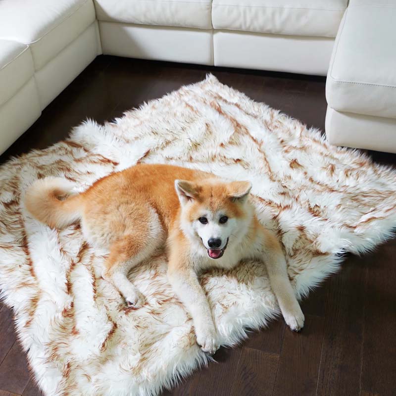 Luxury Waterproof Pet Blanket - CozyPaw™-White/brown-29.53″ × 39.37″-The Livary