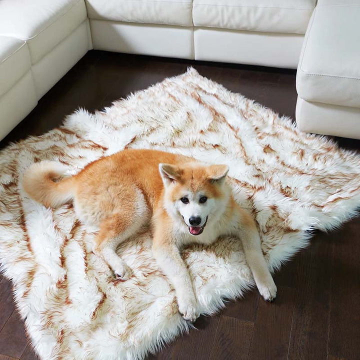 Luxury Waterproof Pet Blanket - CozyPaw™-White/brown-29.53″ × 39.37″-The Livary