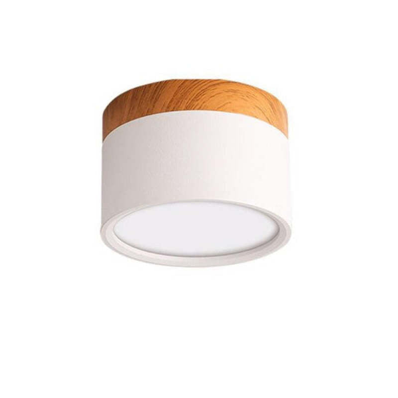 Morandi Style Modern LED Ceiling Lamp - LumiModo-White-5W-Warm white-The Livary