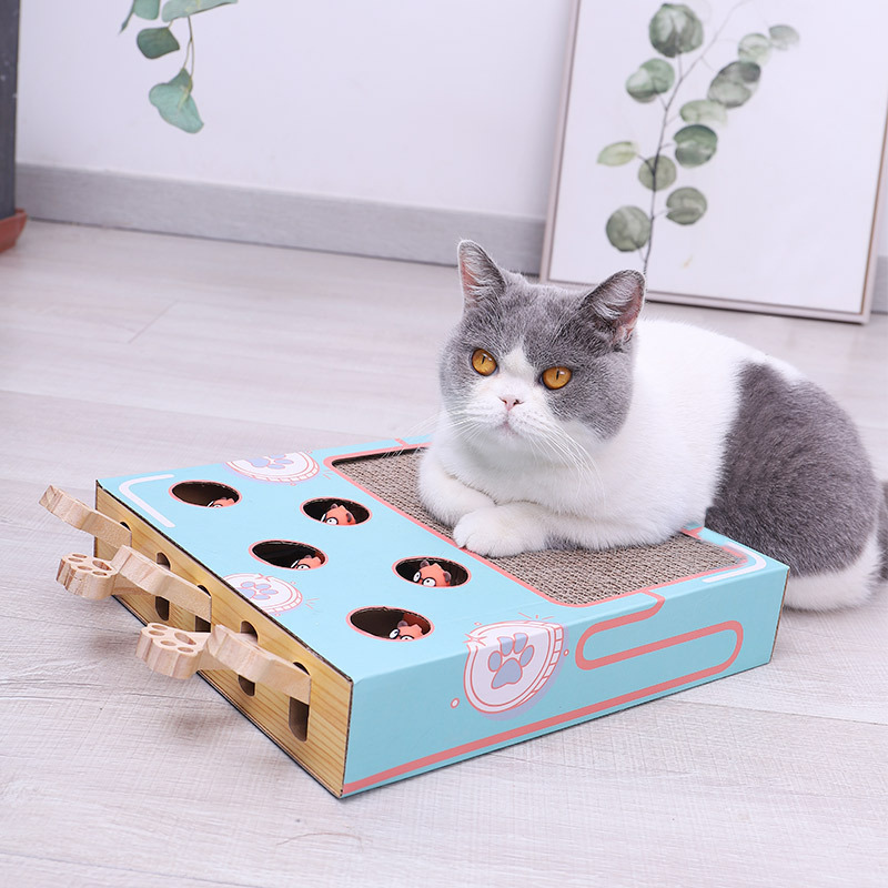 3-in-1 Interactive Cat Toy - WhiskerPlay-The Livary