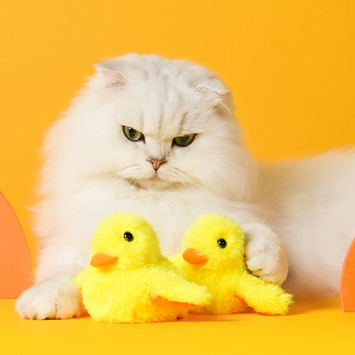 Flapping Duck Toy for Cats - DuckDash™ (1+1 FREE)-The Livary