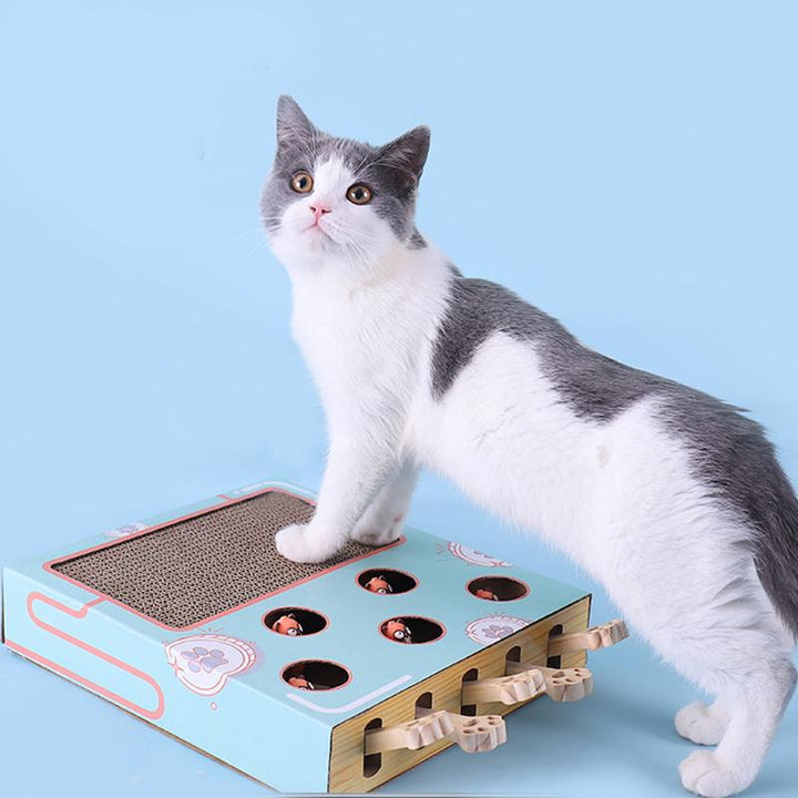 3-in-1 Interactive Cat Toy - WhiskerPlay-The Livary