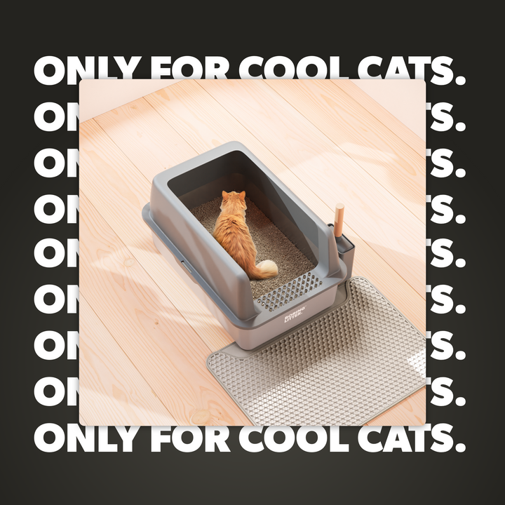 Stainless Steel Litter Box – SteelClean-The Livary