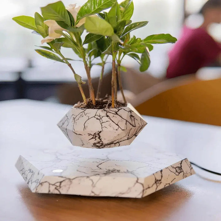 Floating Plant Holder with Magnetic Levitation - Liva-Marble-The Livary