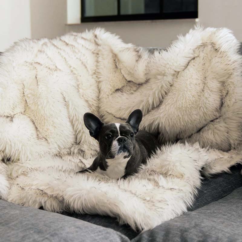 Luxury Waterproof Pet Blanket - CozyPaw™-White/brown-29.53″ × 39.37″-The Livary