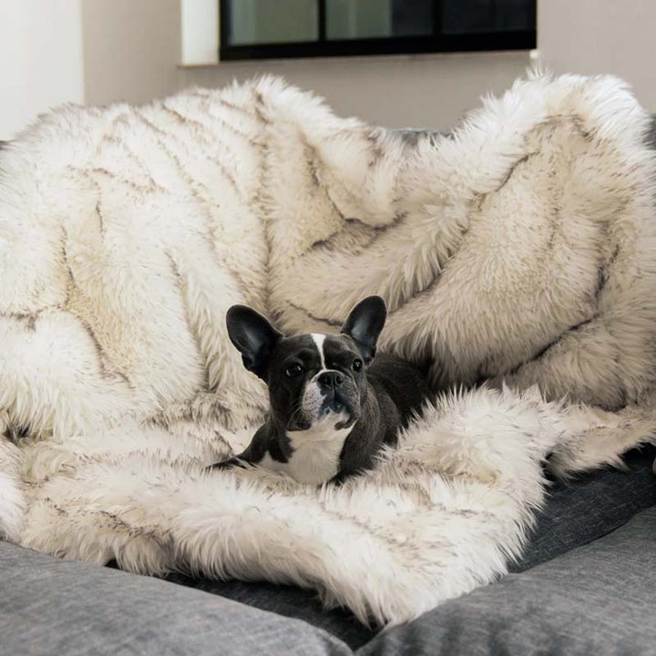 Luxury Waterproof Pet Blanket - CozyPaw™-White/brown-29.53″ × 39.37″-The Livary