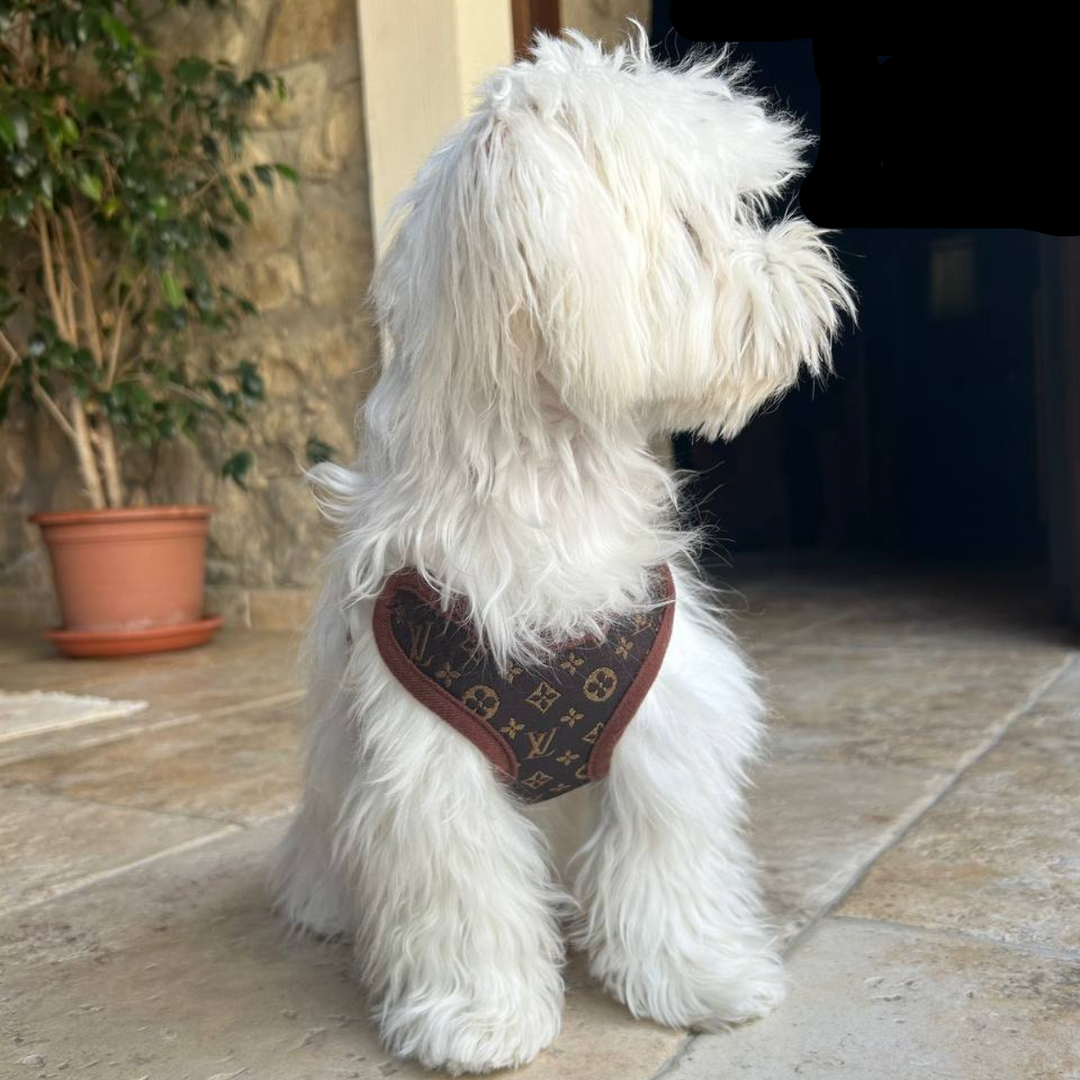 Dog Harness and Leash Set – PawLuxe-XS (1-1.5 kg)-The Livary