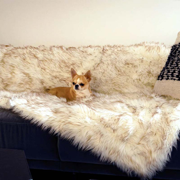 Luxury Waterproof Pet Blanket - CozyPaw™-White/brown-29.53″ × 39.37″-The Livary