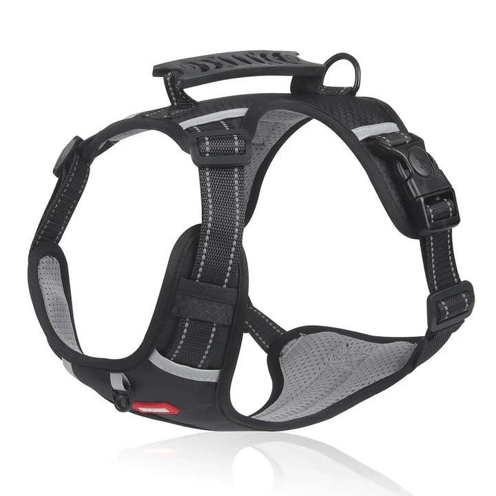 Sturdy & Comfortable Dog Harness - ActivePup™-Black-XS-The Livary