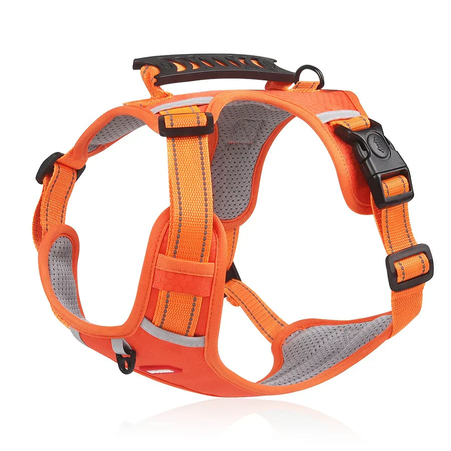 Sturdy & Comfortable Dog Harness - ActivePup™-Orange-XS-The Livary