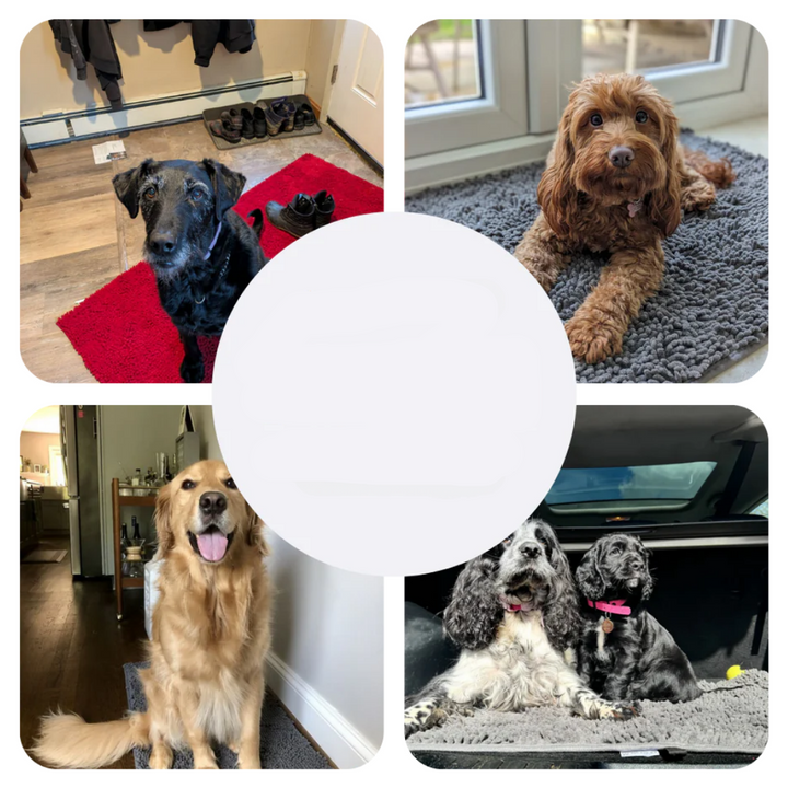 Super Absorbent Dog Mat – PawMat-Beige-15.8×23.6in-The Livary
