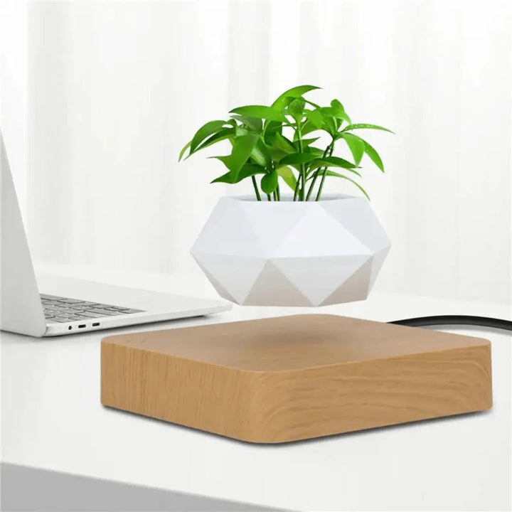 Floating Plant Holder with Magnetic Levitation - Liva-Rectangular Wooden Base-The Livary