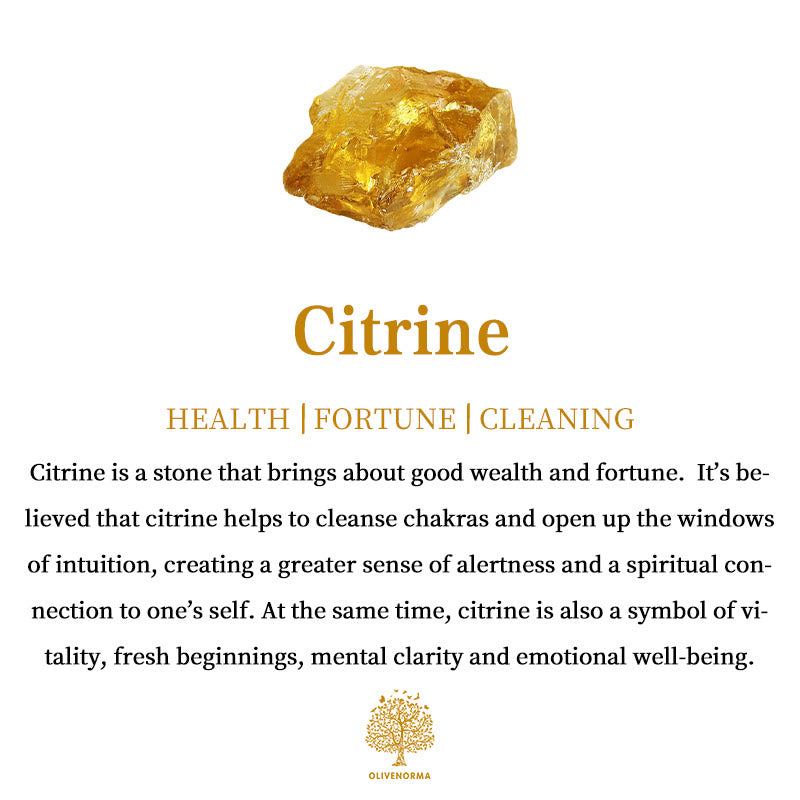 Natural Raw Birthstone Ring - Selina-January & Pomegranate-The Livary