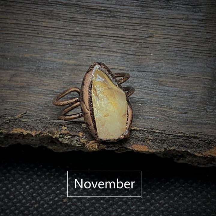 Natural Raw Birthstone Ring - Selina-January & Pomegranate-The Livary