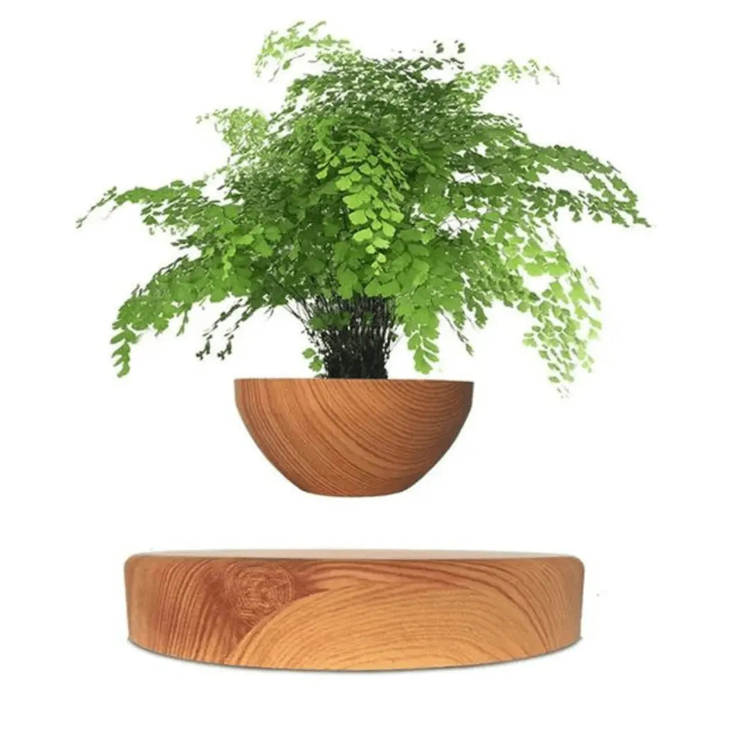 Floating Plant Holder with Magnetic Levitation - Liva-Round Wood-The Livary