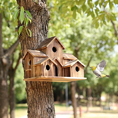 6 Cats Handmade Birdhouse - NestHaven-The Livary