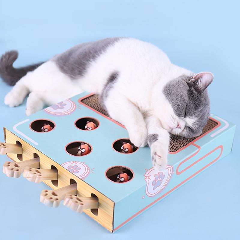 3-in-1 Interactive Cat Toy - WhiskerPlay-The Livary