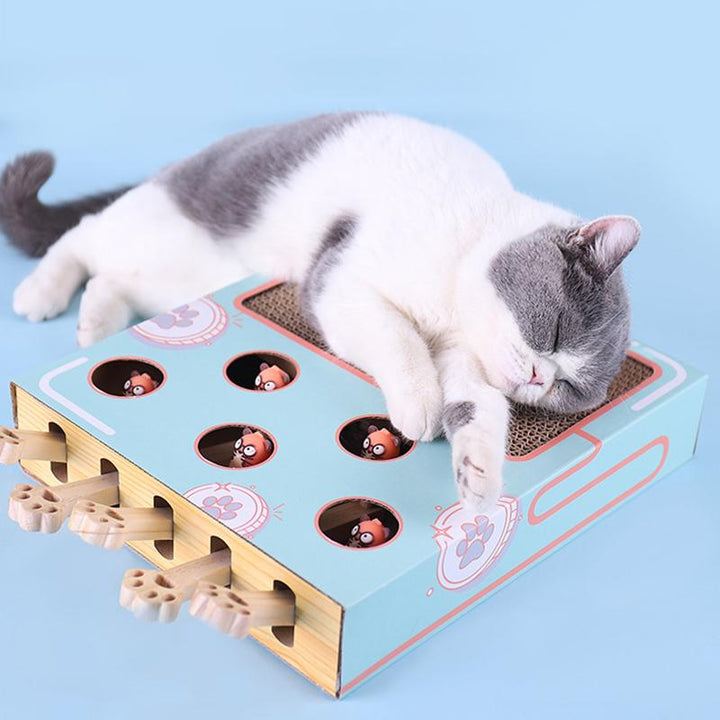 3-in-1 Interactive Cat Toy - WhiskerPlay-The Livary