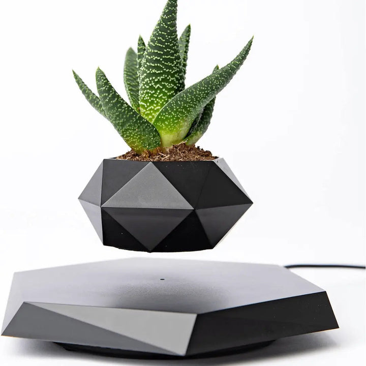 Floating Plant Holder with Magnetic Levitation - Liva-Black Onyx-The Livary