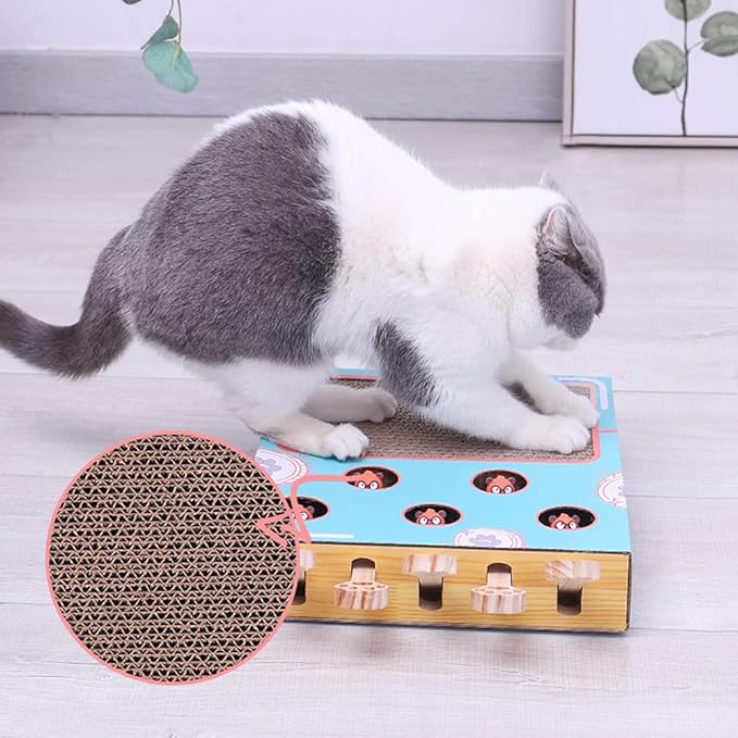 3-in-1 Interactive Cat Toy - WhiskerPlay-The Livary