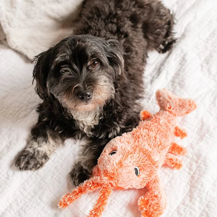 Moving Dog Toy with Motion Sensor - PlayPal-Lobster-The Livary