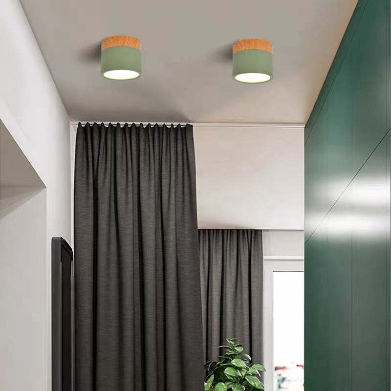Morandi Style Modern LED Ceiling Lamp - LumiModo-Blue-5W-Warm white-The Livary