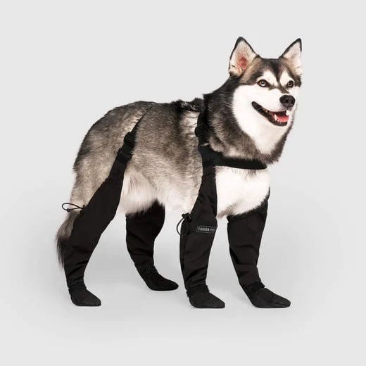 Boots for Safe Outdoor Adventures - PawShield-S-The Livary