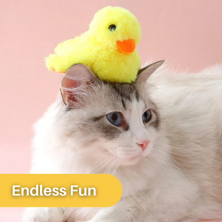 Flapping Duck Toy for Cats - DuckDash™ (1+1 FREE)-The Livary