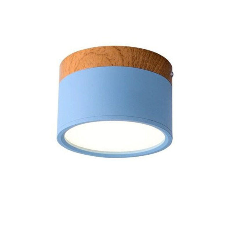 Morandi Style Modern LED Ceiling Lamp - LumiModo-Blue-5W-Warm white-The Livary