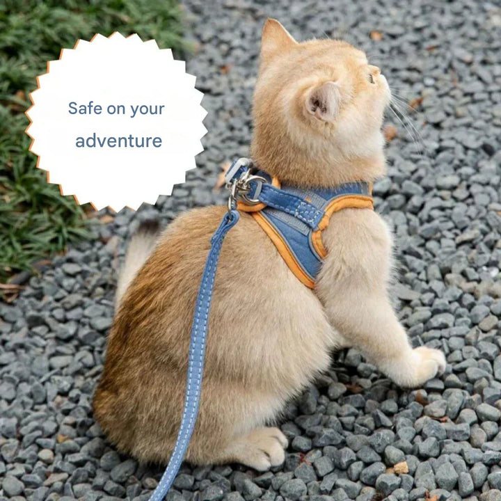 Adjustable Cat Harness with Leash – WhiskerWander-Blue-XS - 0.5 to 3 kg-The Livary